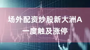 场外配资炒股新大洲A一度触及涨停