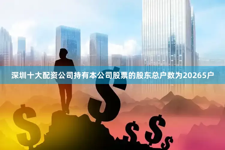 深圳十大配资公司持有本公司股票的股东总户数为20265户