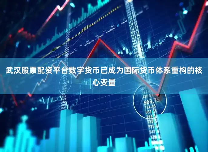 武汉股票配资平台数字货币已成为国际货币体系重构的核心变量