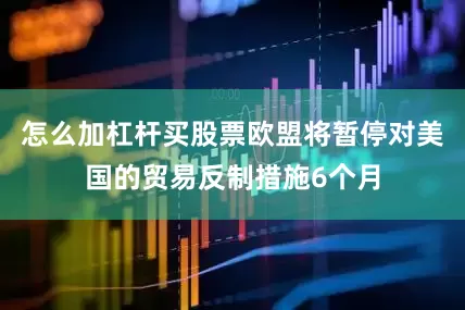 怎么加杠杆买股票欧盟将暂停对美国的贸易反制措施6个月